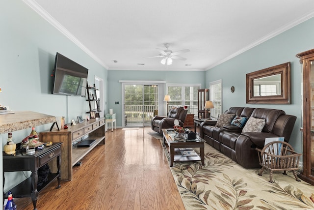 living room featuring ceiling fan, hardwood / wood-style flooring, and ornamental molding