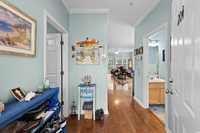 corridor with sink, crown molding, and dark hardwood / wood-style flooring