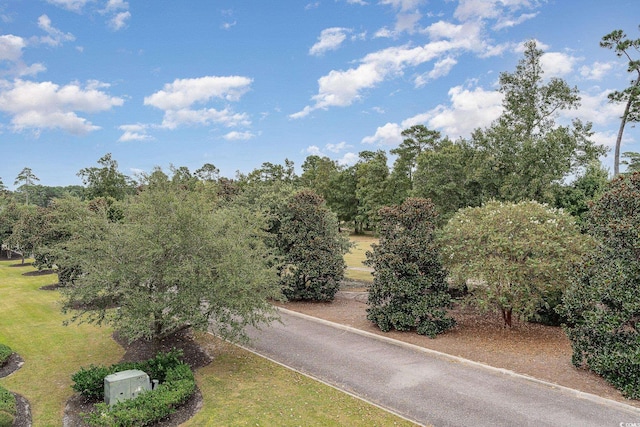 1009 World Tour Blvd Unit 301, Myrtle Beach, SC 29579 - view of road