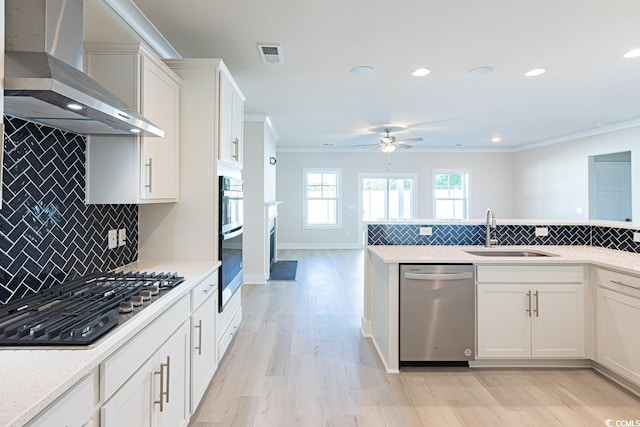 kitchen with sink, wall chimney exhaust hood, appliances with stainless steel finishes, tasteful backsplash, and light hardwood / wood-style floors