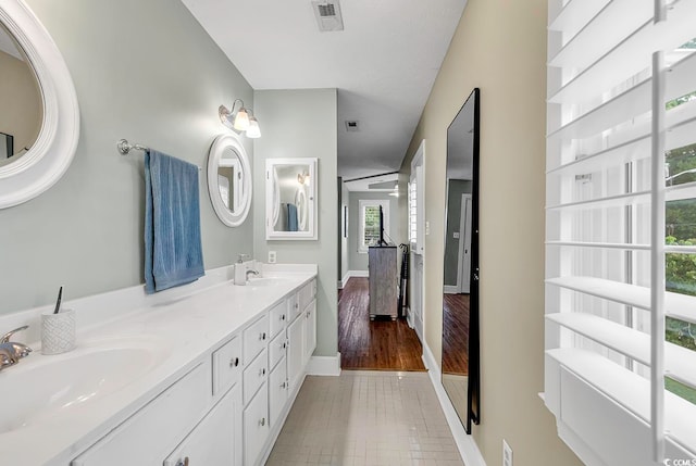 bathroom with vanity and hardwood / wood-style flooring