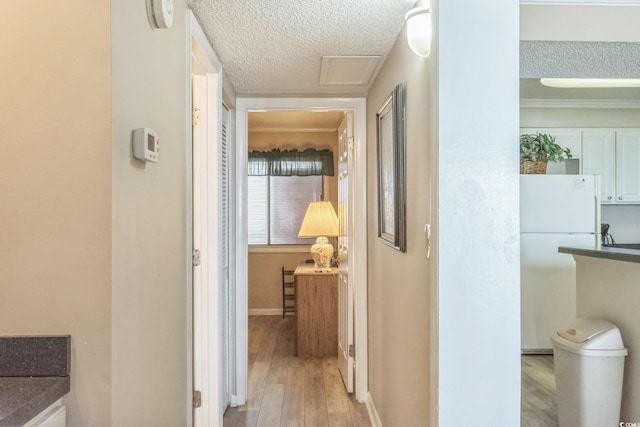 corridor with light hardwood / wood-style flooring, a textured ceiling, and crown molding