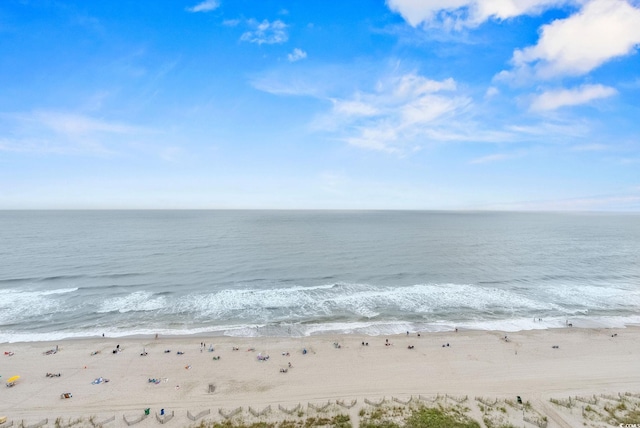 property view of water featuring a beach view