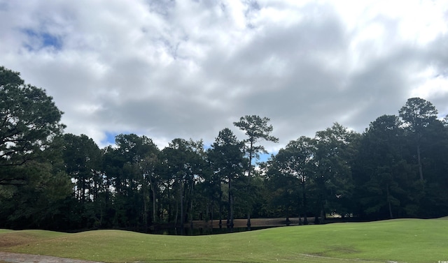 view of home's community with a lawn