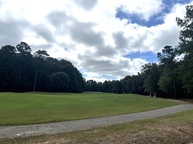 view of property's community with a yard