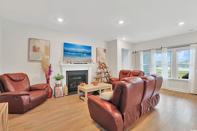 living room featuring light wood-type flooring