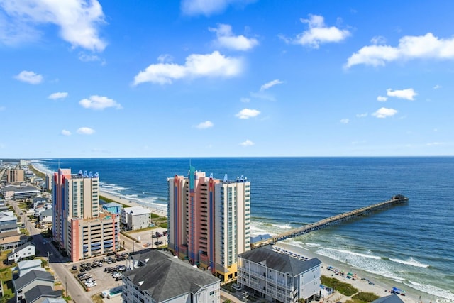 view of water feature with a beach view