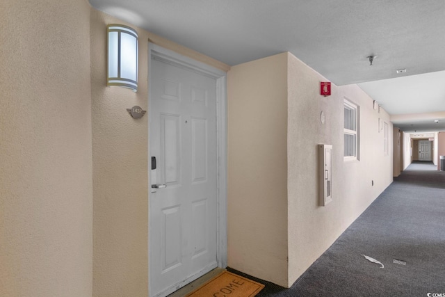 hallway with carpet flooring