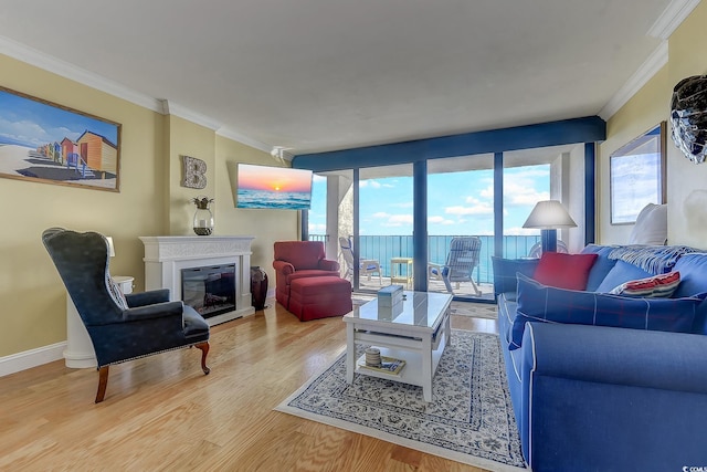 living room with crown molding and hardwood / wood-style flooring