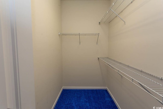 walk in closet with dark colored carpet