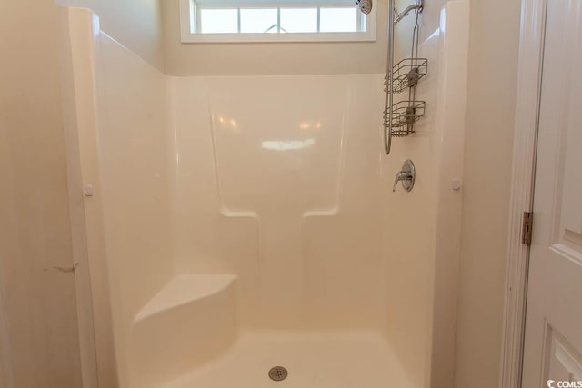 bathroom featuring walk in shower