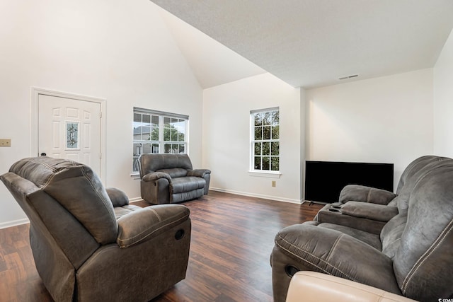 living room with high vaulted ceiling and dark hardwood / wood-style floors