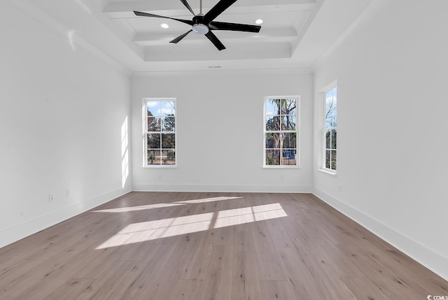 unfurnished room featuring a raised ceiling, a wealth of natural light, and light hardwood / wood-style flooring