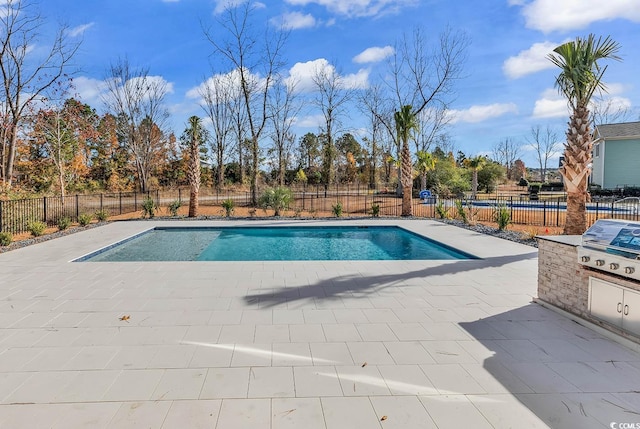 view of swimming pool with a grill and a patio area