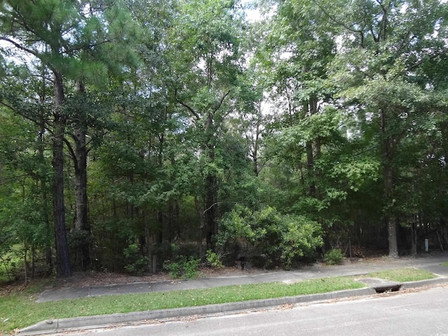 112 Duany Dr, Georgetown SC, 29440 land for sale