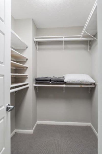 walk in closet with dark colored carpet