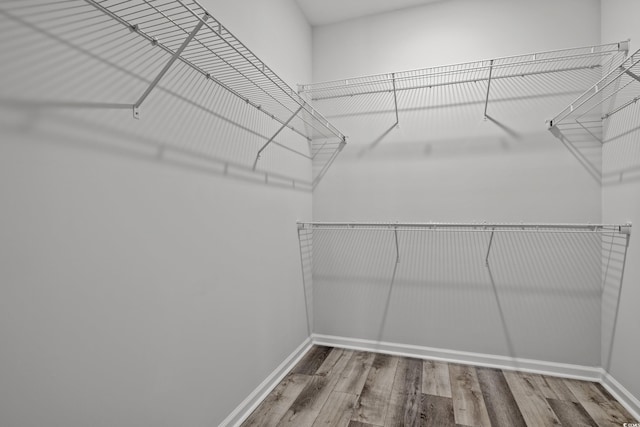 spacious closet with wood-type flooring