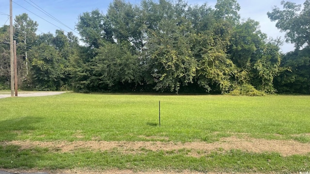 Listing photo 2 for TBD 2nd St, Tabor City NC 28463