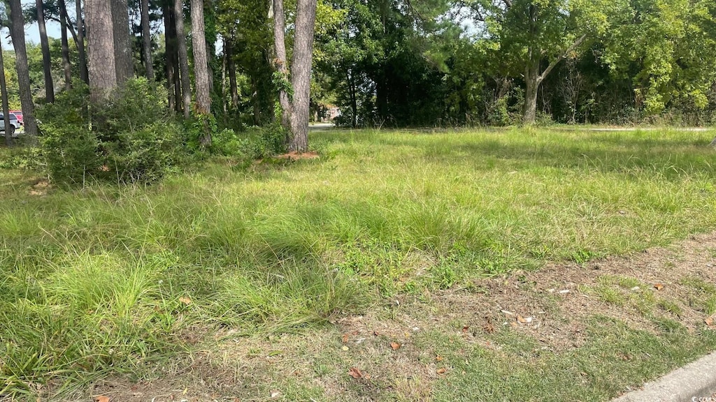 TBD Green Sea Rd, Tabor City, NC 28463