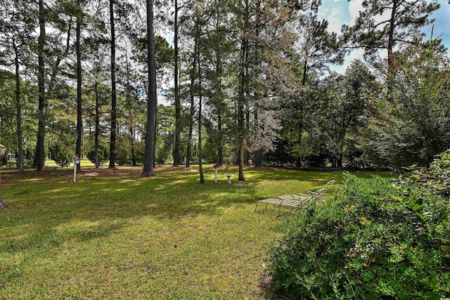 3517 Golf Ave, Little River, SC 29566 - photo 6