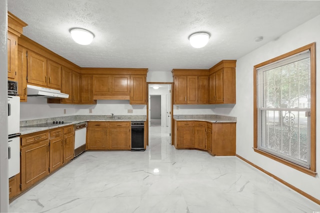 kitchen featuring black electric cooktop, a textured ceiling, sink, and dishwasher