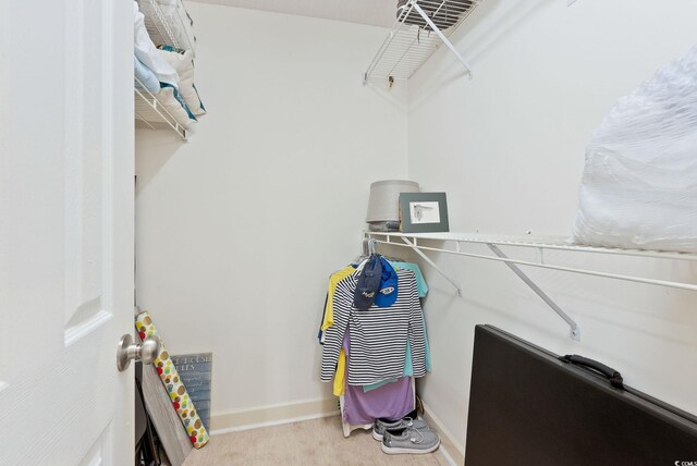 4755 Lightkeepers Way Unit 15-F, Little River, SC 29566 - walk in closet with carpet