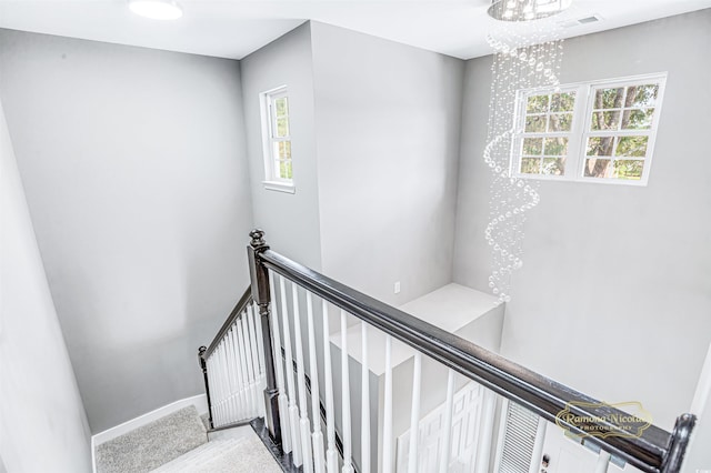 629 Slash Pine Ct, Myrtle Beach, SC 29579 - photo 15
