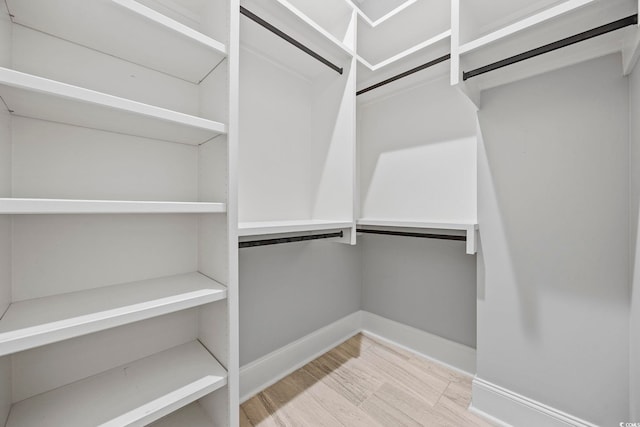 spacious closet featuring light wood-type flooring