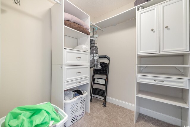 walk in closet with light colored carpet