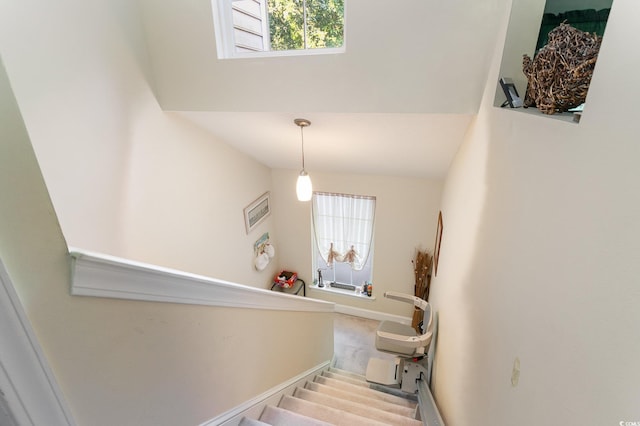 staircase featuring carpet floors and plenty of natural light