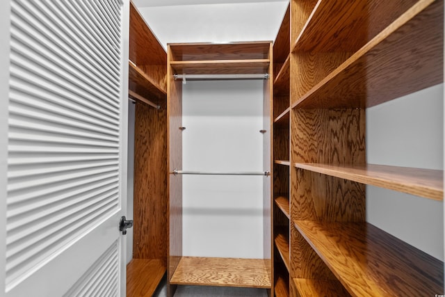 view of walk in closet