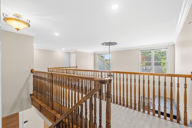 hallway with ornamental molding, carpet flooring, and plenty of natural light