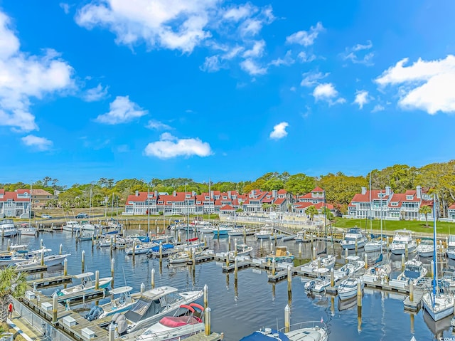 dock area with a water view