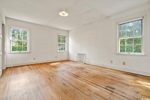 spare room with plenty of natural light and light hardwood / wood-style flooring