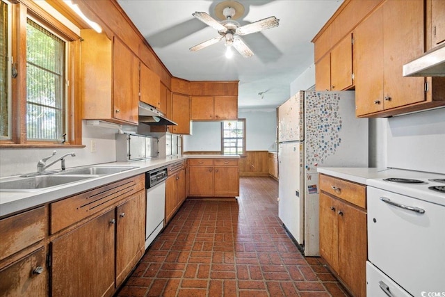 kitchen with ceiling fan, sink, a healthy amount of sunlight, and white appliances