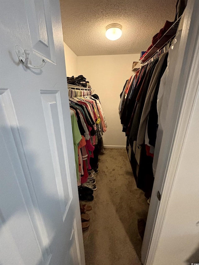2108 Kirkland Dr, Conway, SC 29526 - spacious closet with carpet floors