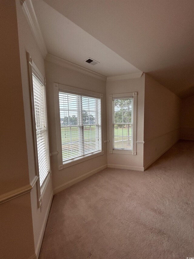 4870 Luster Leaf Cir Unit 401, Myrtle Beach, SC 29577 - additional living space featuring baseboards and light carpet