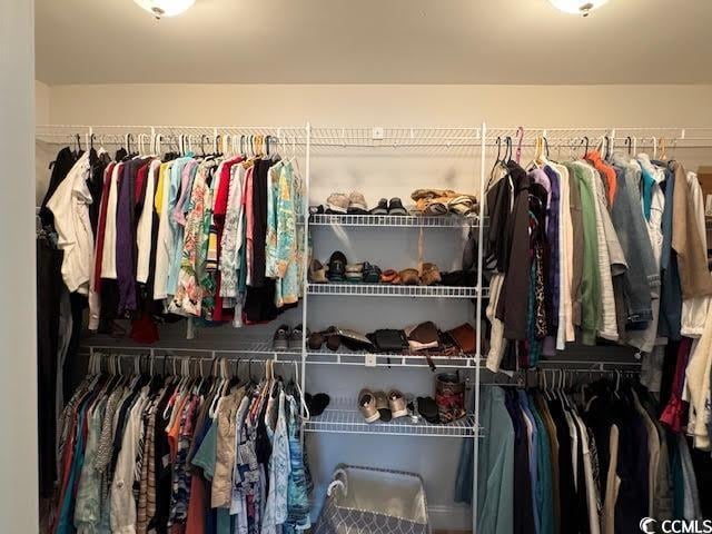 view of walk in closet