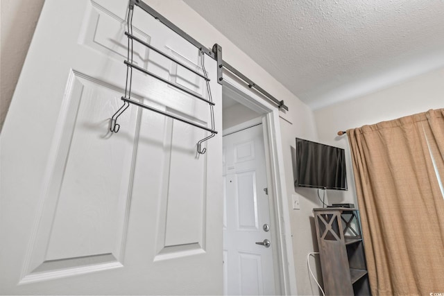 details with a textured ceiling and a barn door