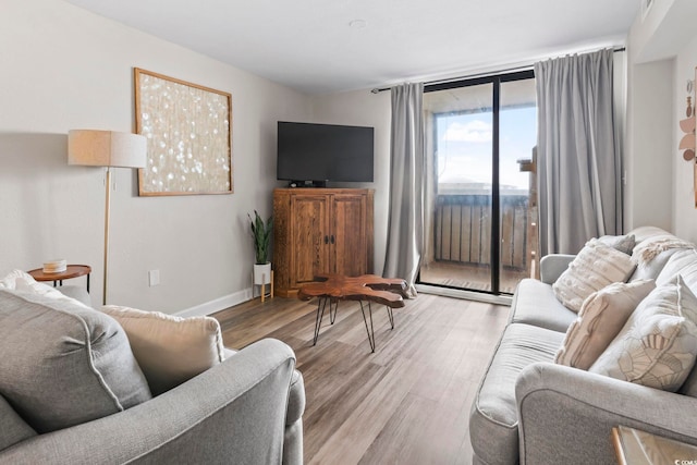 living room featuring light hardwood / wood-style flooring