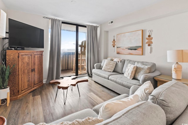 living room with wood-type flooring