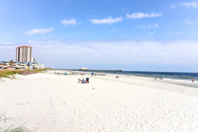 view of water feature with a beach view