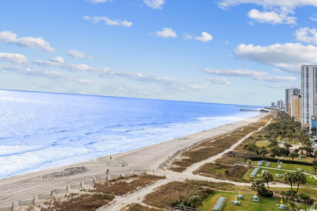 water view featuring a beach view