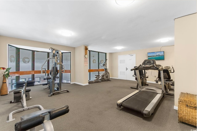 exercise room featuring carpet