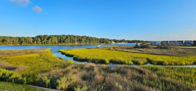 property view of water