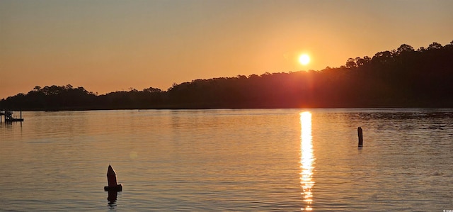 property view of water