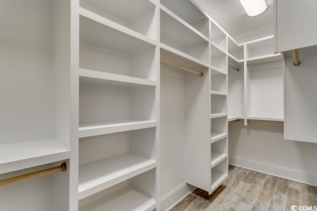 1104 Maccoa Dr, Conway, SC 29526 - spacious closet featuring wood finished floors
