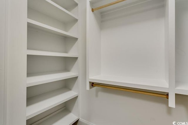 view of walk in closet