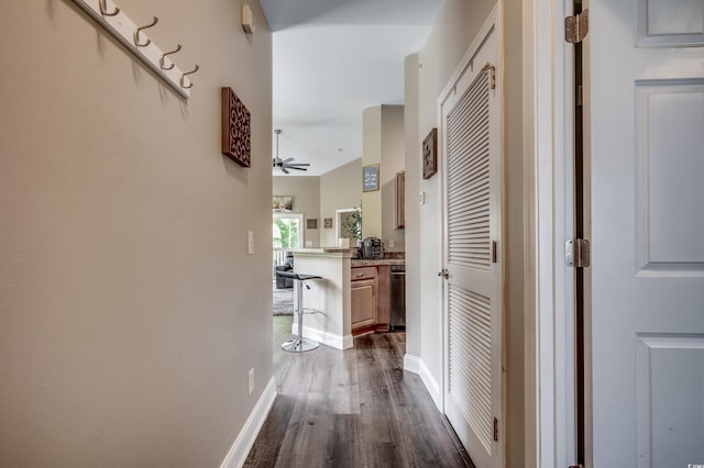 hallway featuring dark hardwood / wood-style flooring