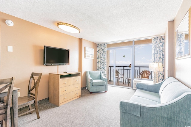 carpeted living room featuring a textured ceiling and a healthy amount of sunlight